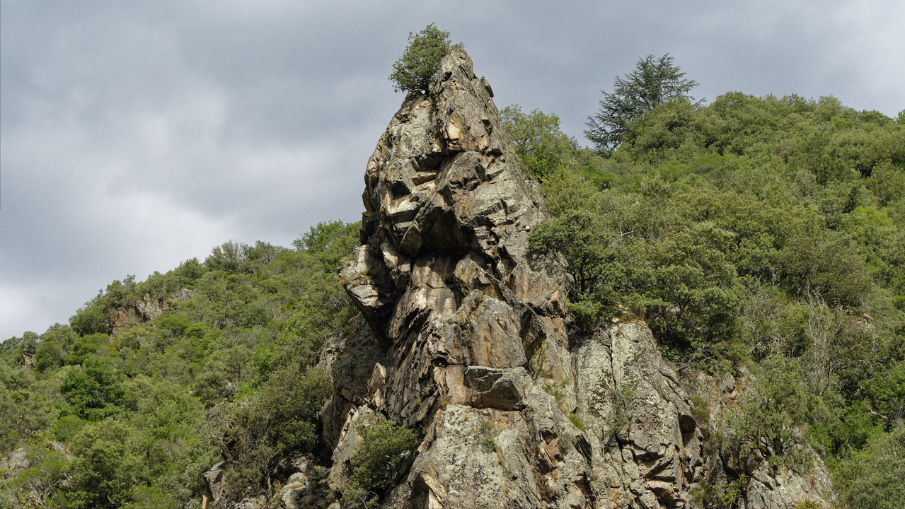 20150705 071  SaintBarthelemylePlain, RhoneAlpes, France